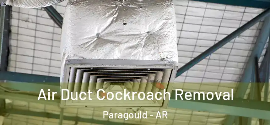  Air Duct Cockroach Removal Paragould - AR