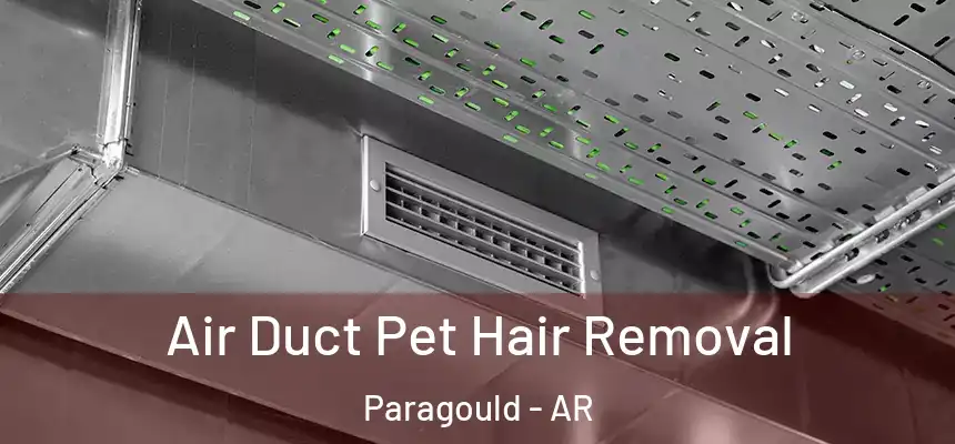 Air Duct Pet Hair Removal Paragould - AR