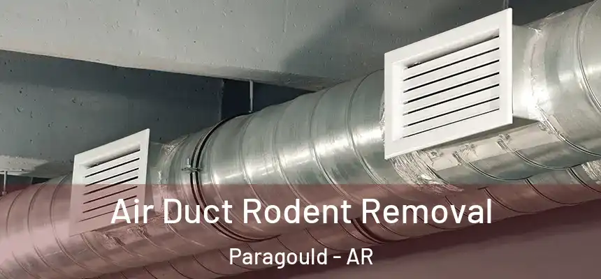  Air Duct Rodent Removal Paragould - AR