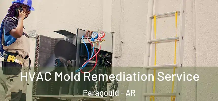 HVAC Mold Remediation Service Paragould - AR
