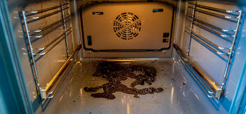 Our Dryer Vent Mold Cleaning Services in Paragould, AR