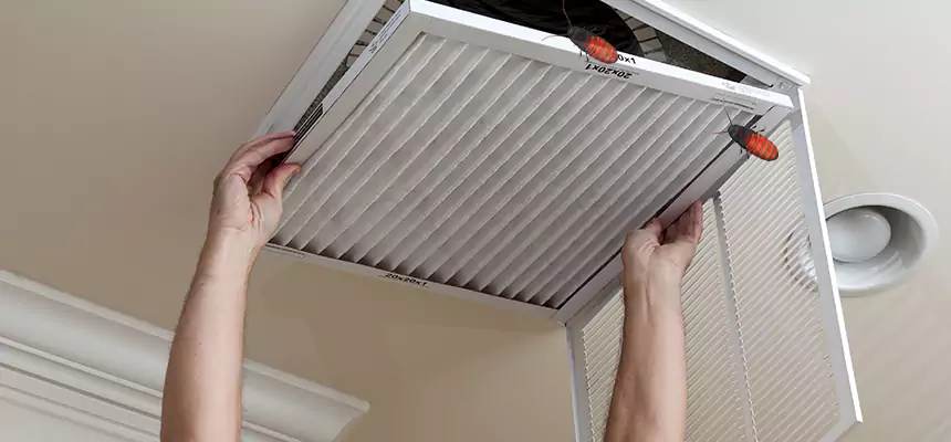 Our Insect Removal from Air Ducts Services in Paragould, AR