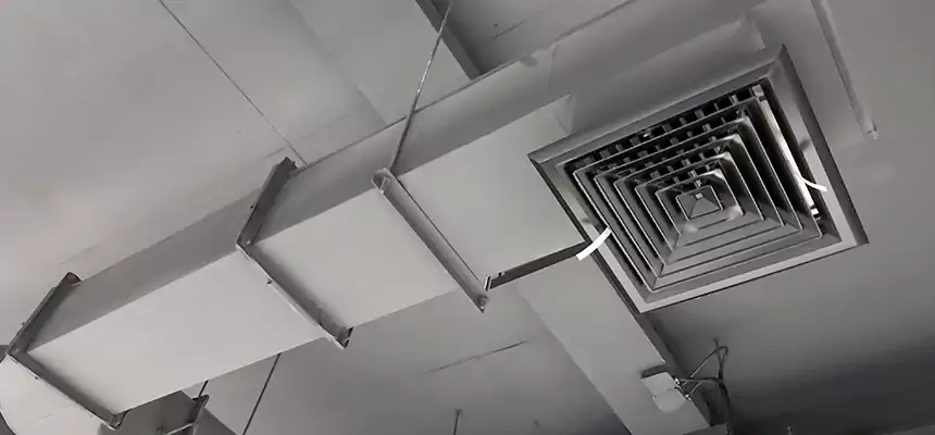 Our Pest Removal From Ducts Services in Paragould, AR