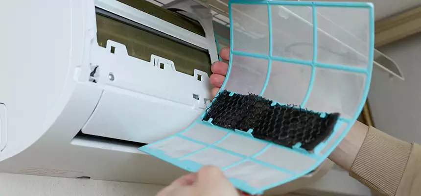 Gentle Ductwork Odor-Control Pet Dander Duct Cleaning in Paragould, AR