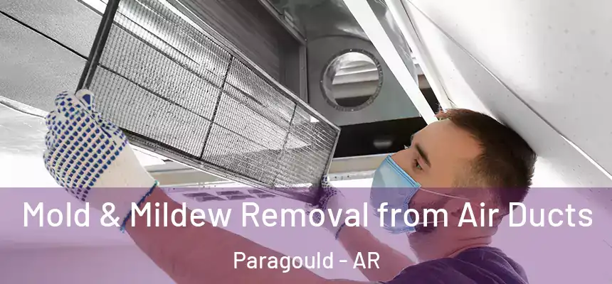Mold & Mildew Removal from Air Ducts Paragould - AR