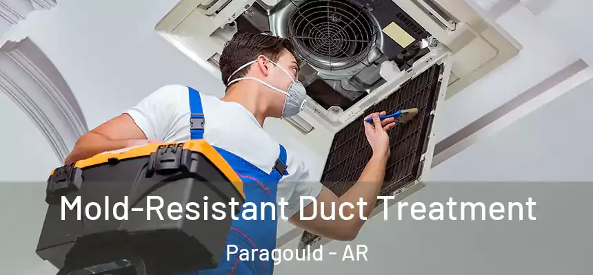 Mold-Resistant Duct Treatment Paragould - AR