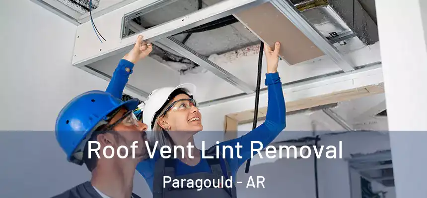 Roof Vent Lint Removal Paragould - AR