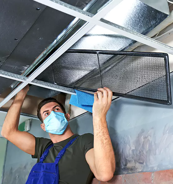 About Air Duct Bacteria Removal in Paragould