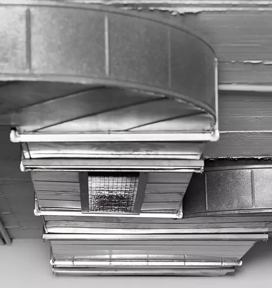 Professional Air Duct Pet Hair Removal in Paragould, AR