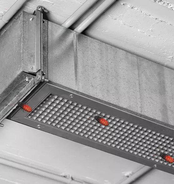 Affordable Insect Removal from Air Ducts in Paragould, AR