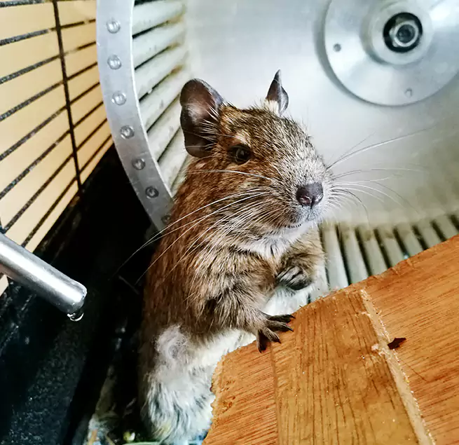 Why Homeowners & Businesses Trust Us Paragould, AR