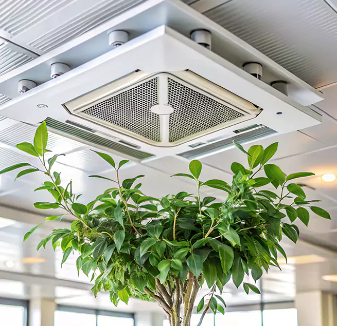 Why Homeowners & Businesses Trust Us in Paragould, AR?