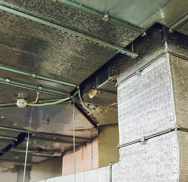 Why Homeowners & Businesses Trust Us in Paragould, AR?